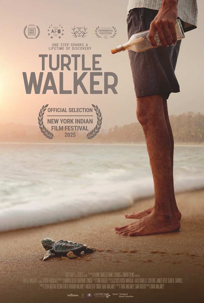 Turtle Walker